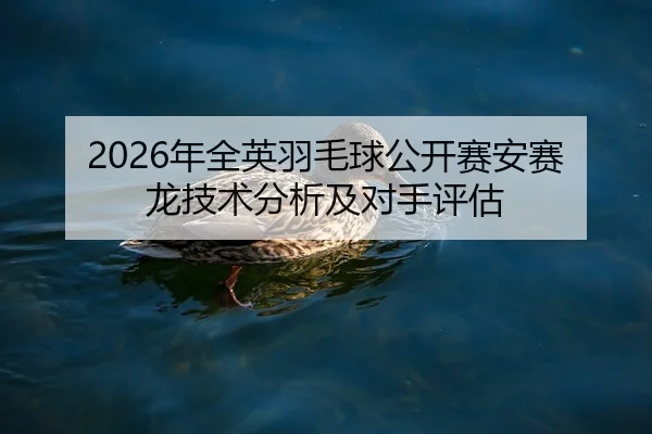 nian-quan-ying-yu-mao-qiu-gong-kai-sai-an-sai-long-ji-shu-fen-xi-ji-dui-shou-ping-gu-2-176.jpg