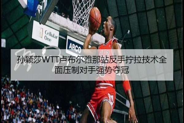 孙颖莎WTT卢布尔雅那站反手拧拉技术全面压制对手强势夺冠