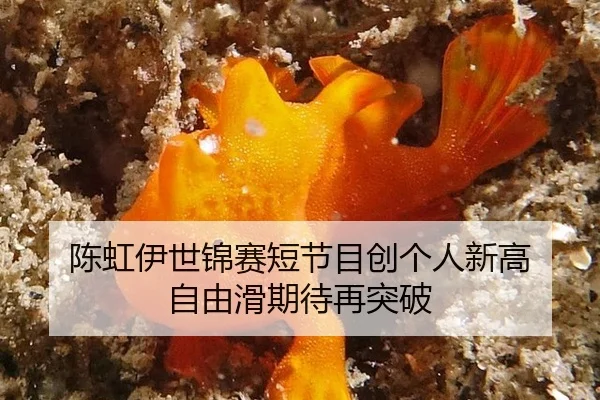 chen-hong-yi-shi-jin-sai-duan-jie-mu-chuang-ge-ren-xin-gao-zi-you-hua-qi-dai-zai-tu-po-3-732.jpg